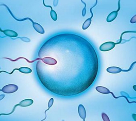 �پ�֢�Ĳ���֢����Щ?