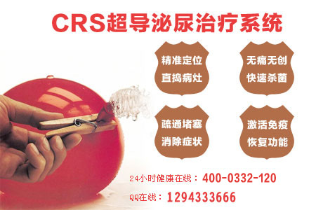 CRS��������ϵͳ ���ٽ�����������